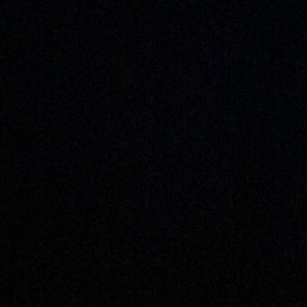 Meet your Posher, Isabella